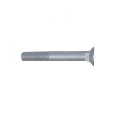 Varžtas HORSCH M12x90-12.9 00310726 DIN608