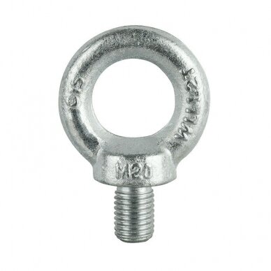 Varžtas kilpa 20mm DIN580