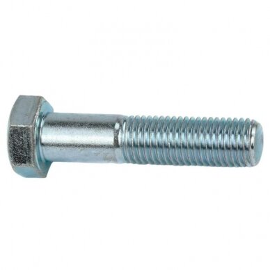 Varžtas M 10X110 DIN 931-10.9