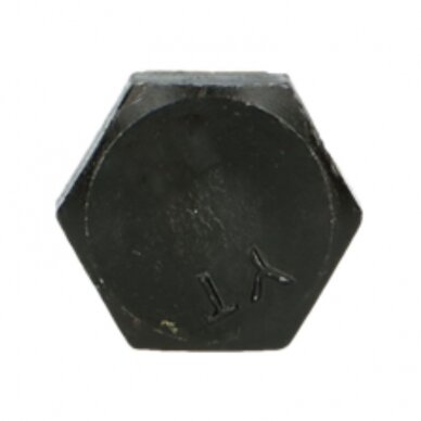 Varžtas M 10X120 931-10.9 1
