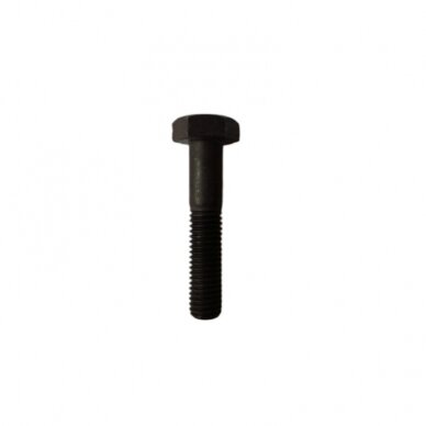 Varžtas M 10X50 931-10.9