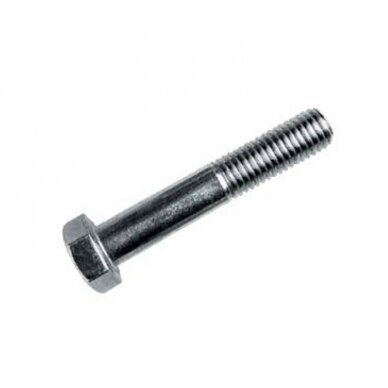 Varžtas M 10X70 931-10.9