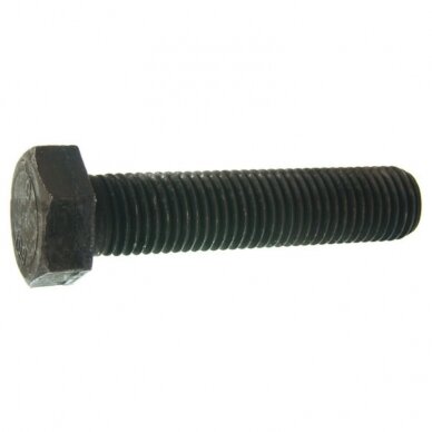 Varžtas M 12X100 933-10.9