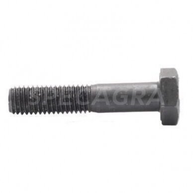 Varžtas M 12X75 931-10.9