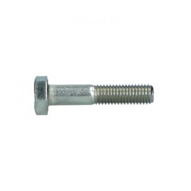 Varžtas M 16X100 931-10.9