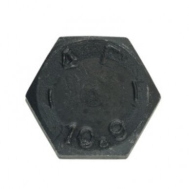 Varžtas M 16X110 931-10.9 1