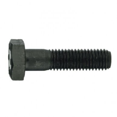 Varžtas M 16X110 931-10.9