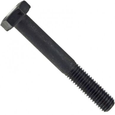 Varžtas M 16X160 931-10.9