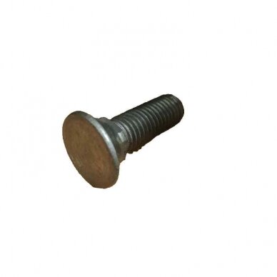 Varžtas M12x40 DIN608