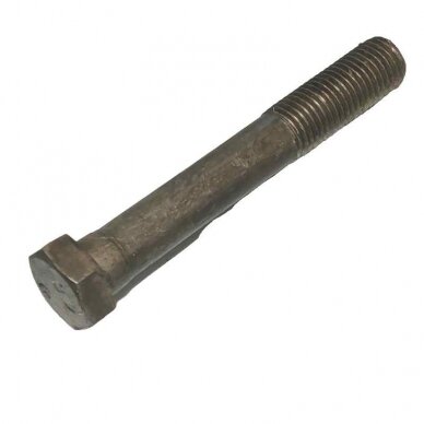 Varžtas M16x110 DIN931