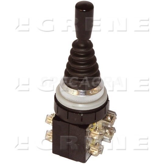 Vairalazdė D806-030MPPN