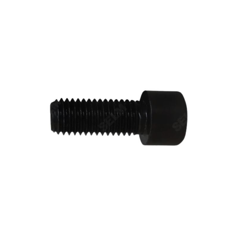 Varžtas HORSCH M12x30-12.9 00371012 DIN912 Varžtas HORSCH M12x30-12.9 00371012 DIN912