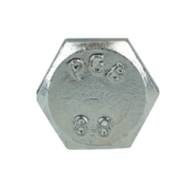 Varžtas M 16X100 931-10.9 1