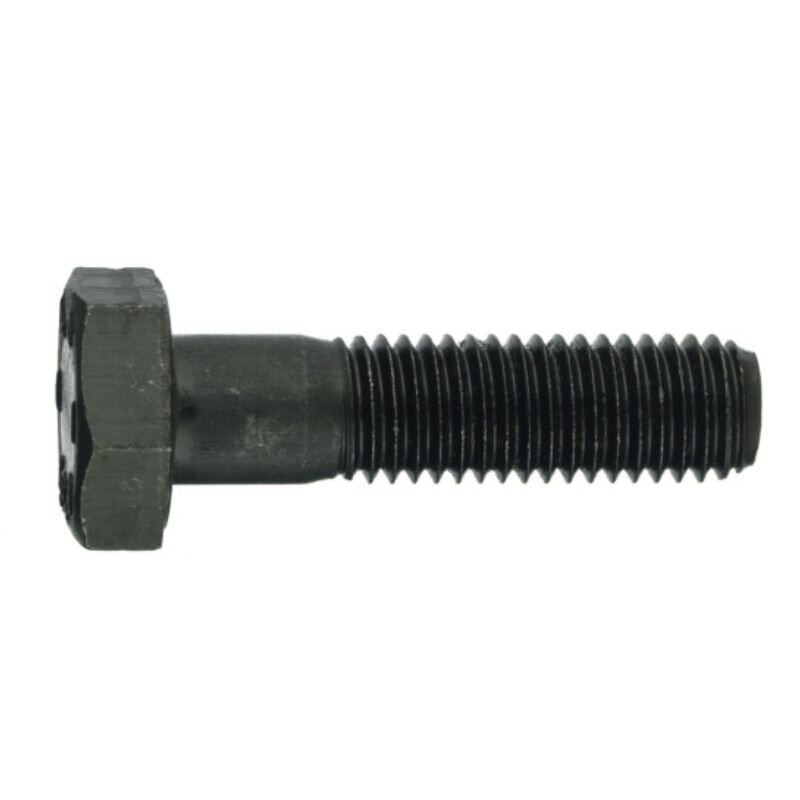 Varžtas M 16X110 931-10.9