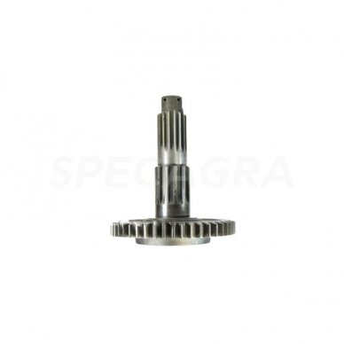 Velenas antrinis 50-1701252BG