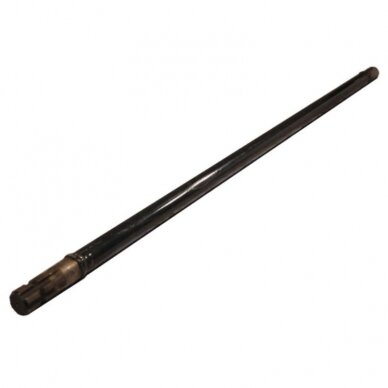 Velenas N267 02.04.20 MF