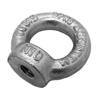 Veržlė kilpa 30mm DIN582