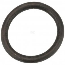 Žiedas sandarinimo 170x19mm 6652400