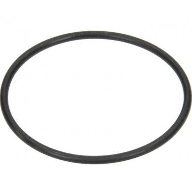 Žiedas 5030210009 Žiedas 5030210009