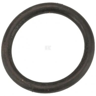 Žiedas sandarinimo 170x19mm 6652400 Žiedas sandarinimo 170x19mm 6652400