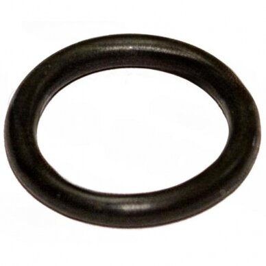 Žiedas tilto 614193501 Žiedas tilto 614193501