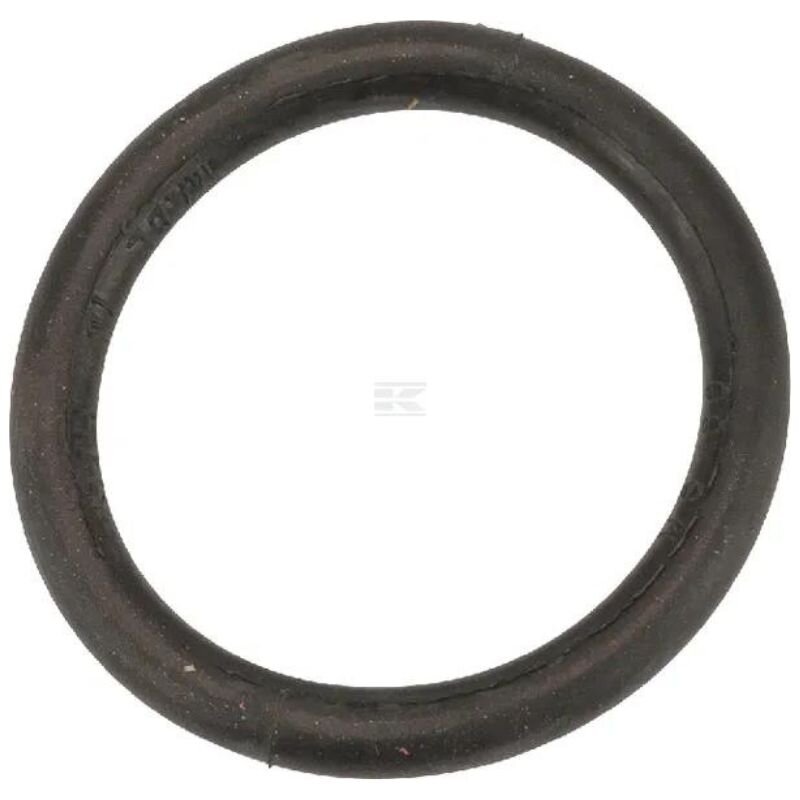 Žiedas sandarinimo 170x19mm 6652400