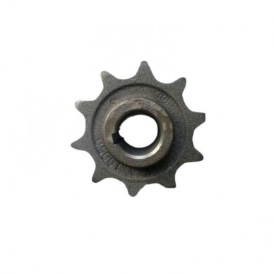 žvaigždutė 54-10050 RSM n.k.