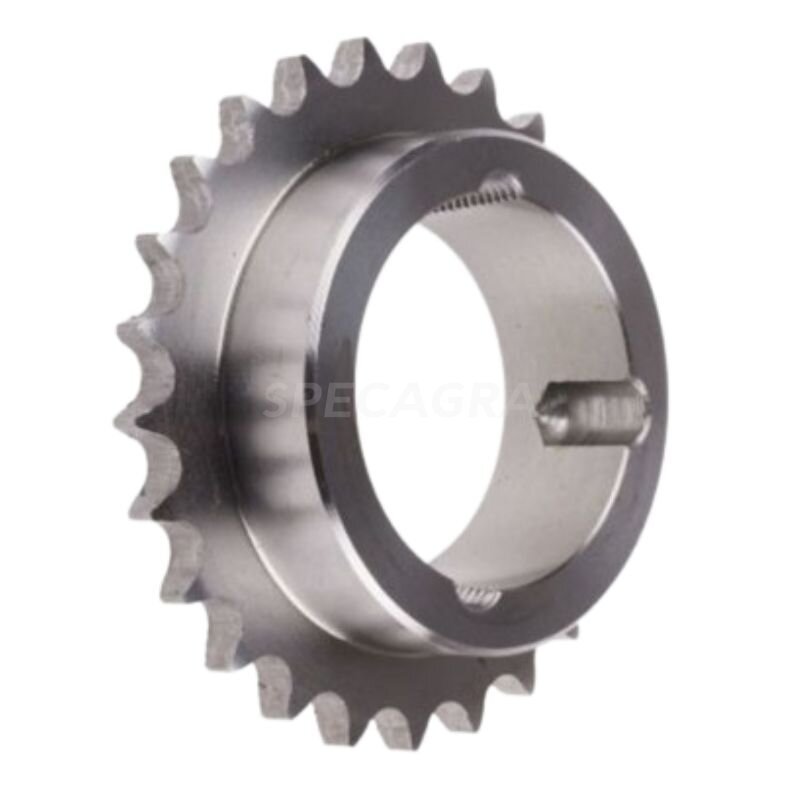 Žvaigždutė 12B-13HT